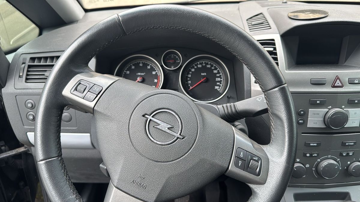 Opel Automobili: Opel Zafira – Usato da Liesberg venduto da joal03 6