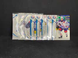 Komplettes ZSC Lions Base-set Serie 2 2024/25
