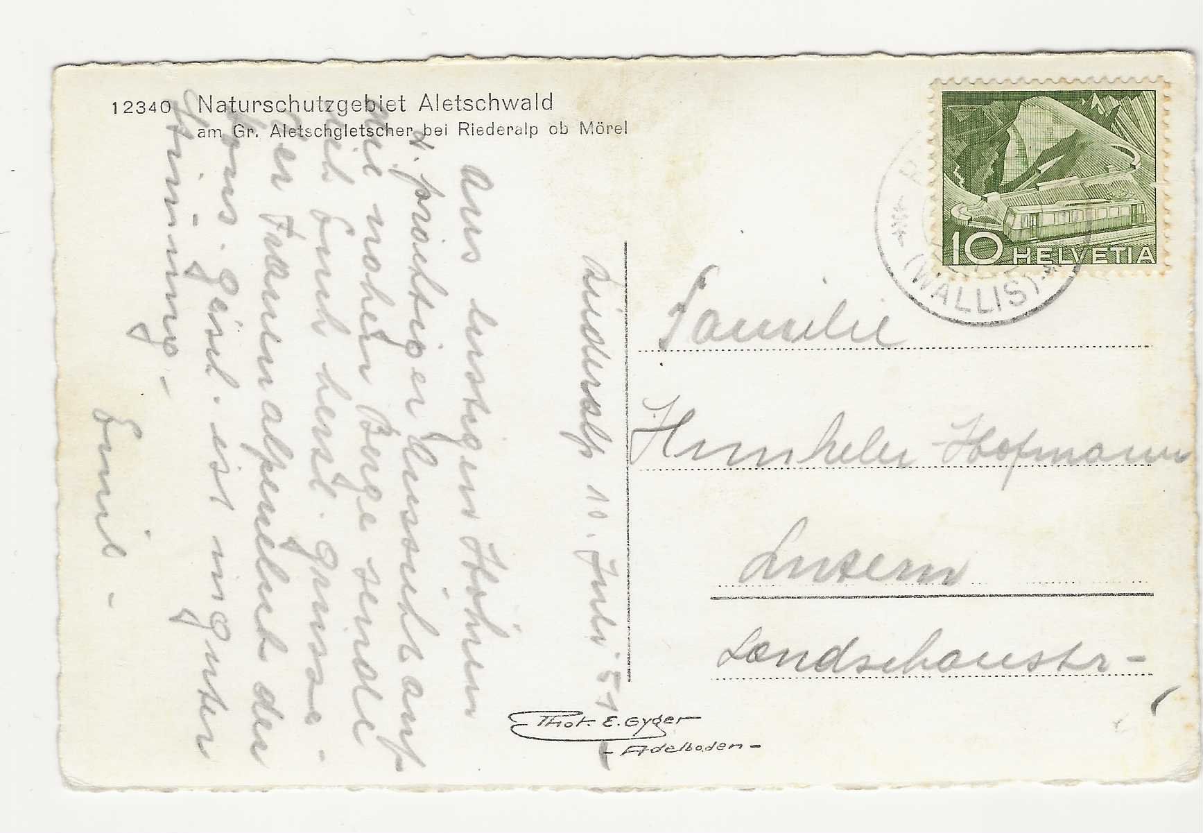 Cartoline postali: NATURSCHUTZGEBIET  ALETSCHWALD   1951 – Usato da Küttigen venduto da rolypo 1