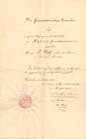 Urkunde Stadt Winterthur Gesundheitskommission 1881 J.Wolff