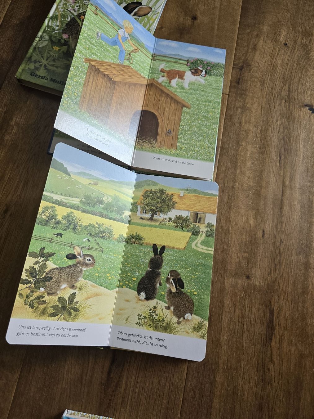 Bücher: 5er Set Kinderbücher "Ich bin..." Ravensburger set – Gebraucht aus Wittenbach von Tigerlili 8