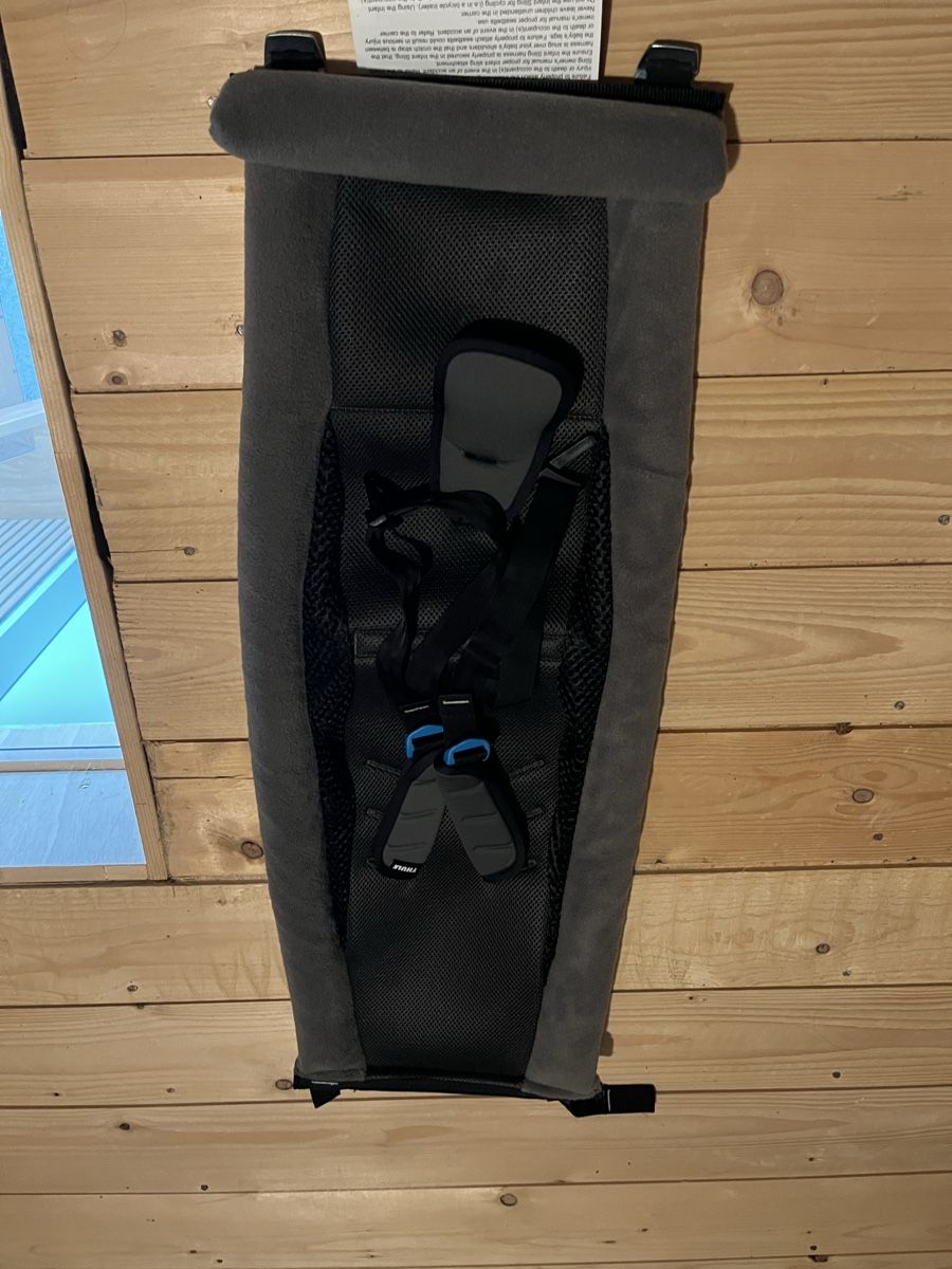 Thule Anhänger: Thule Chariot Cab – Gebraucht aus Wald ZH von ThijsDS 3