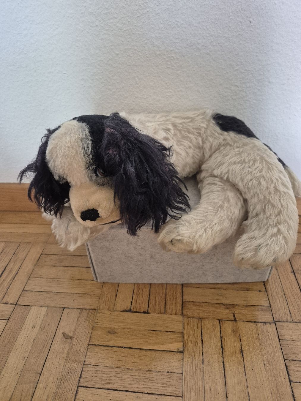 Steiff Spielzeuge: Steiff Hund Cockie – Gebraucht aus Bern von san_kcw5