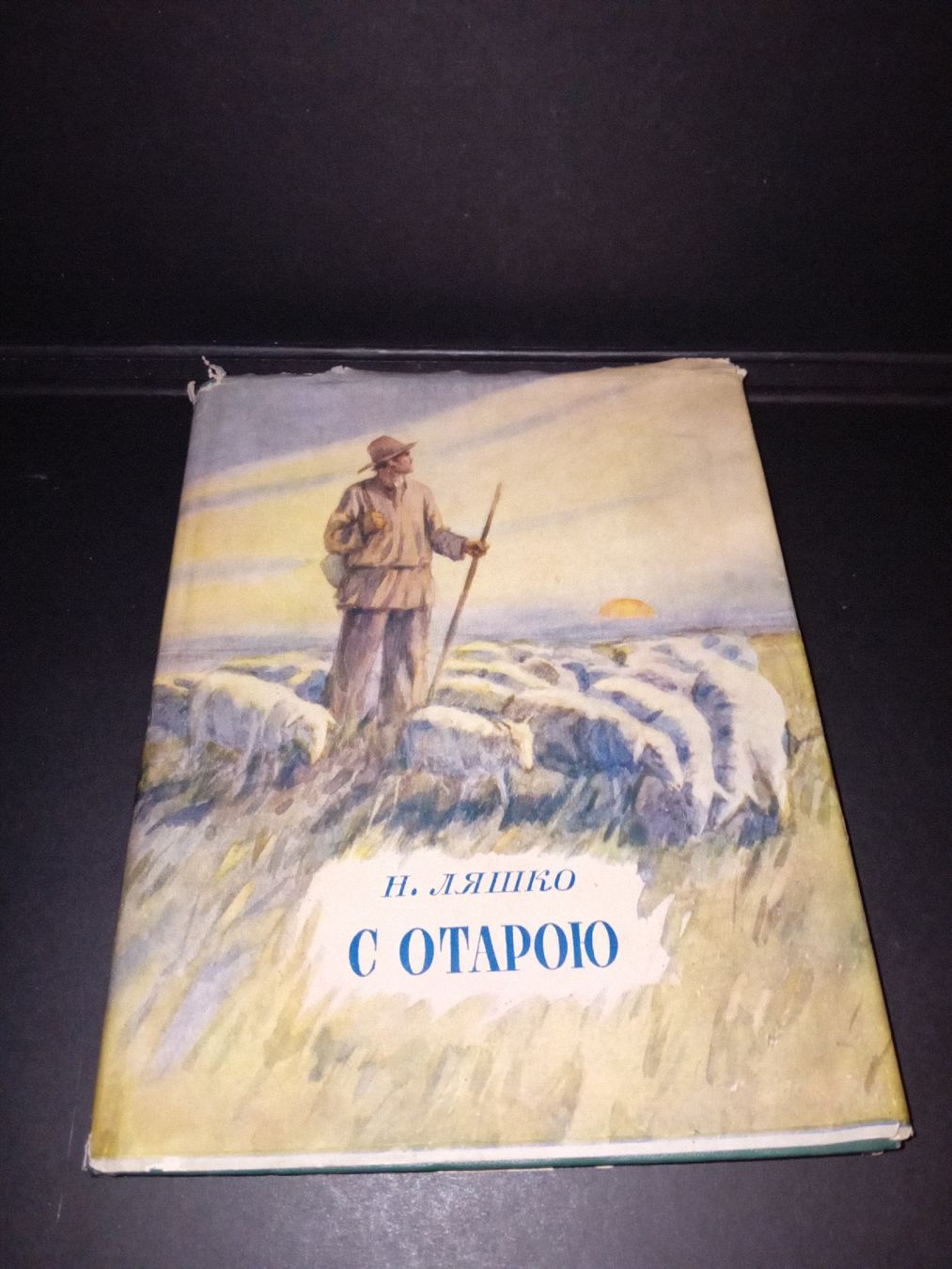 Libri: romanzo Russo – Usato da Biasca venduto da Old_6blh 2