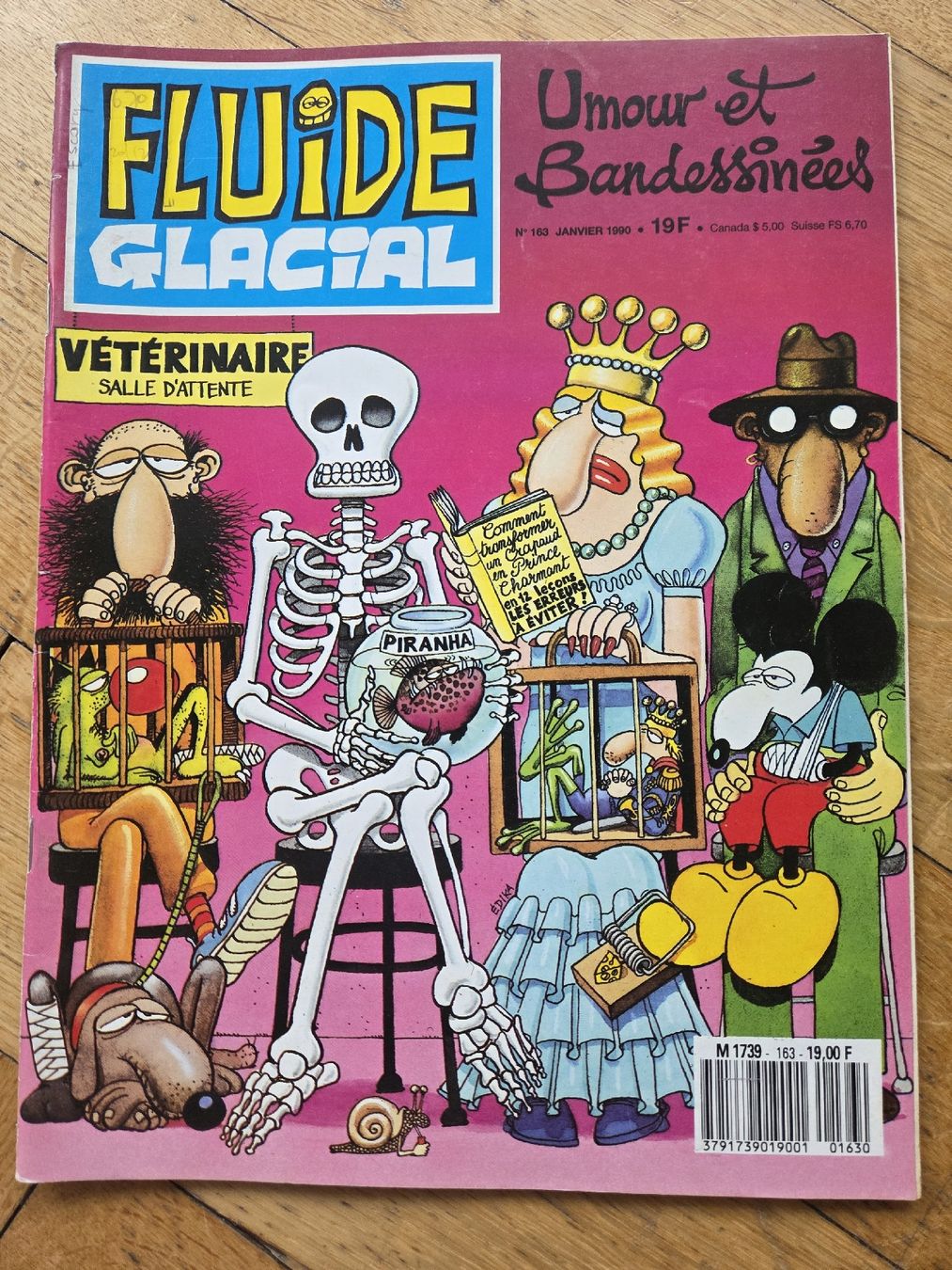 Fumetti: Fluide Glacial N°163 Janvier 1990 – Usato da Territet venduto da Cenh