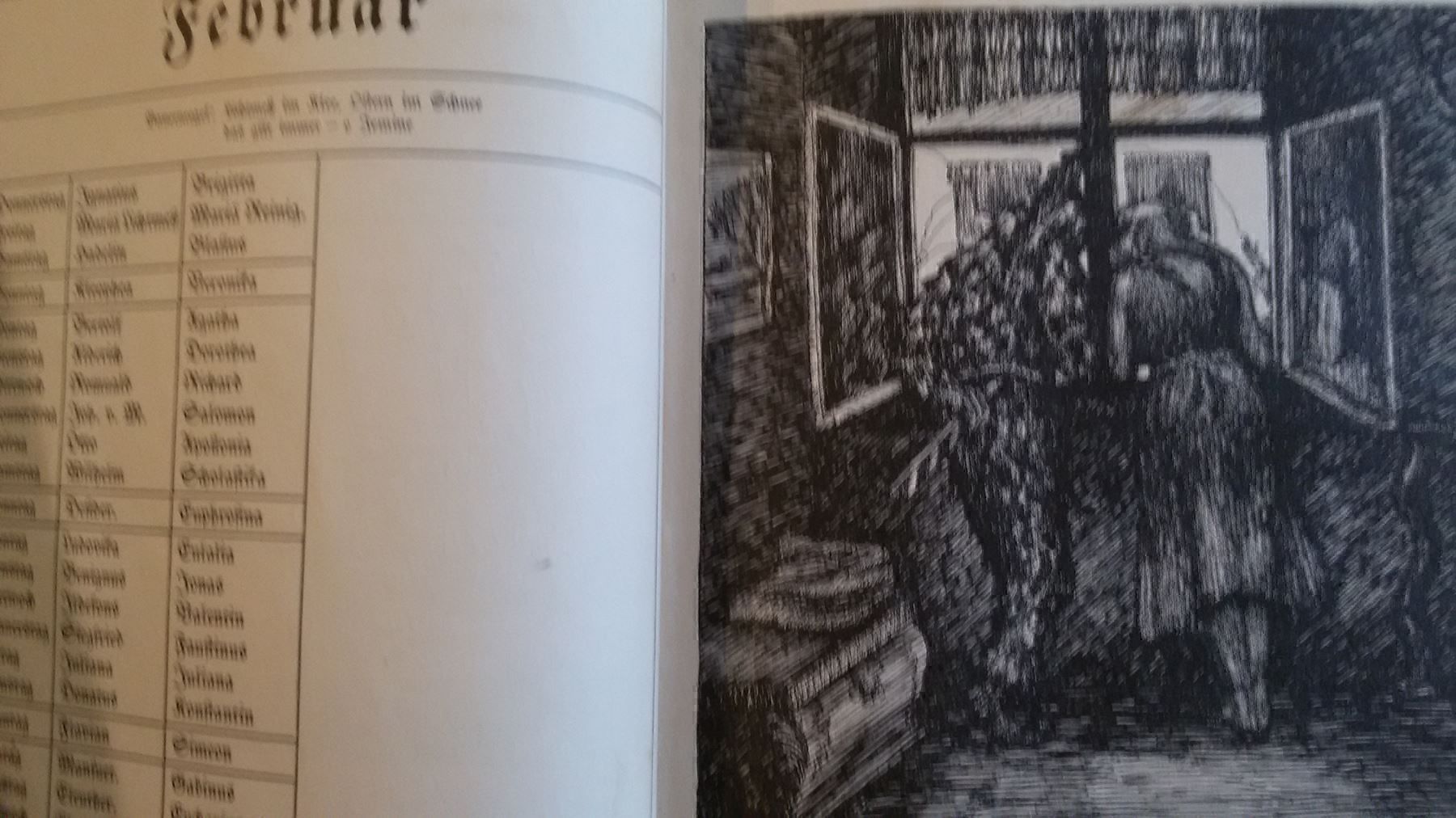 Libri: Bodensee Buch 1917 – Antico da Bischofszell venduto da Joachim-115 3