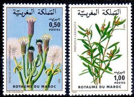 MAROCO 1980 SERIE MAROKANISCHE FLORA ** POSTFRISCH ** - N263