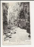 AK 1903 Grindelwald Lütschinenschlucht