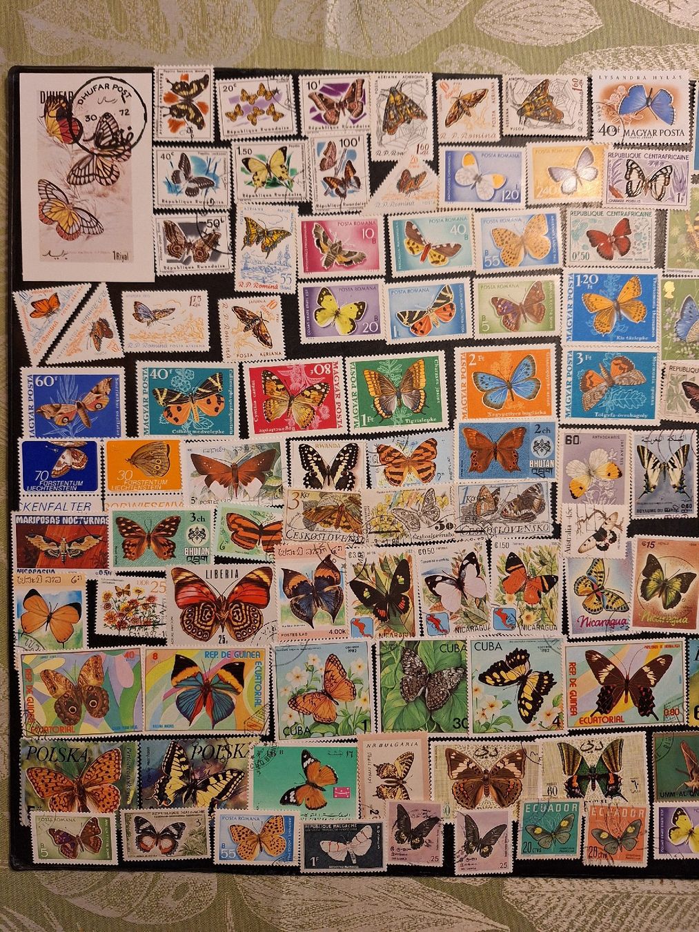 Tutti i francobolli: Schmetterlinge Briefmarken: schöne grosse Sammlung – Usato da Genolier venduto da Antoine30 5