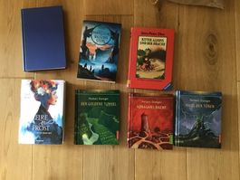 Buchpaket: 6 Fantasy-Jugendbücher gebraucht