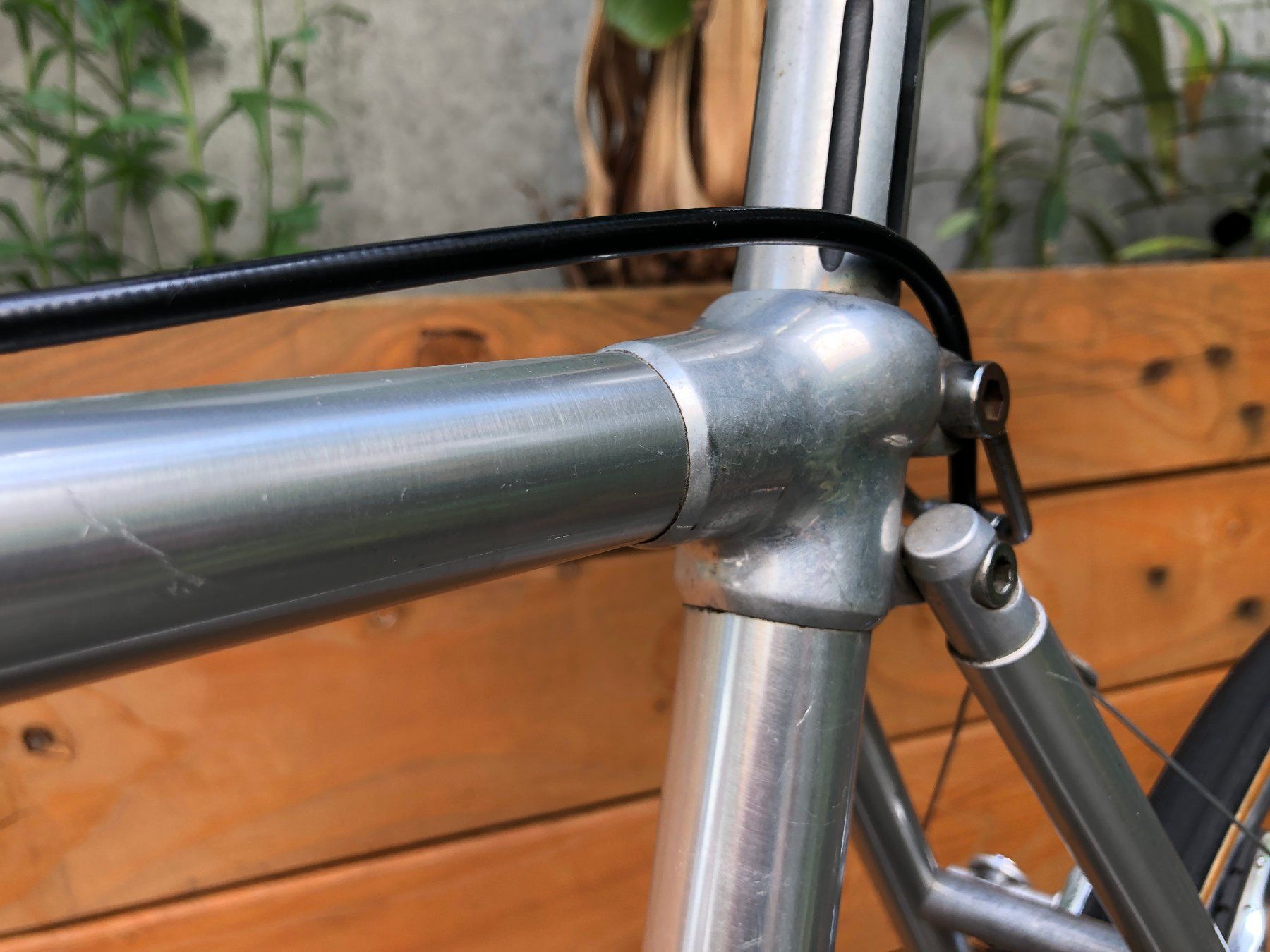 Biciclette: Quervelo Alan mit Campagnolo Nuovo Record – Usato da Riehen venduto da flohropax 3