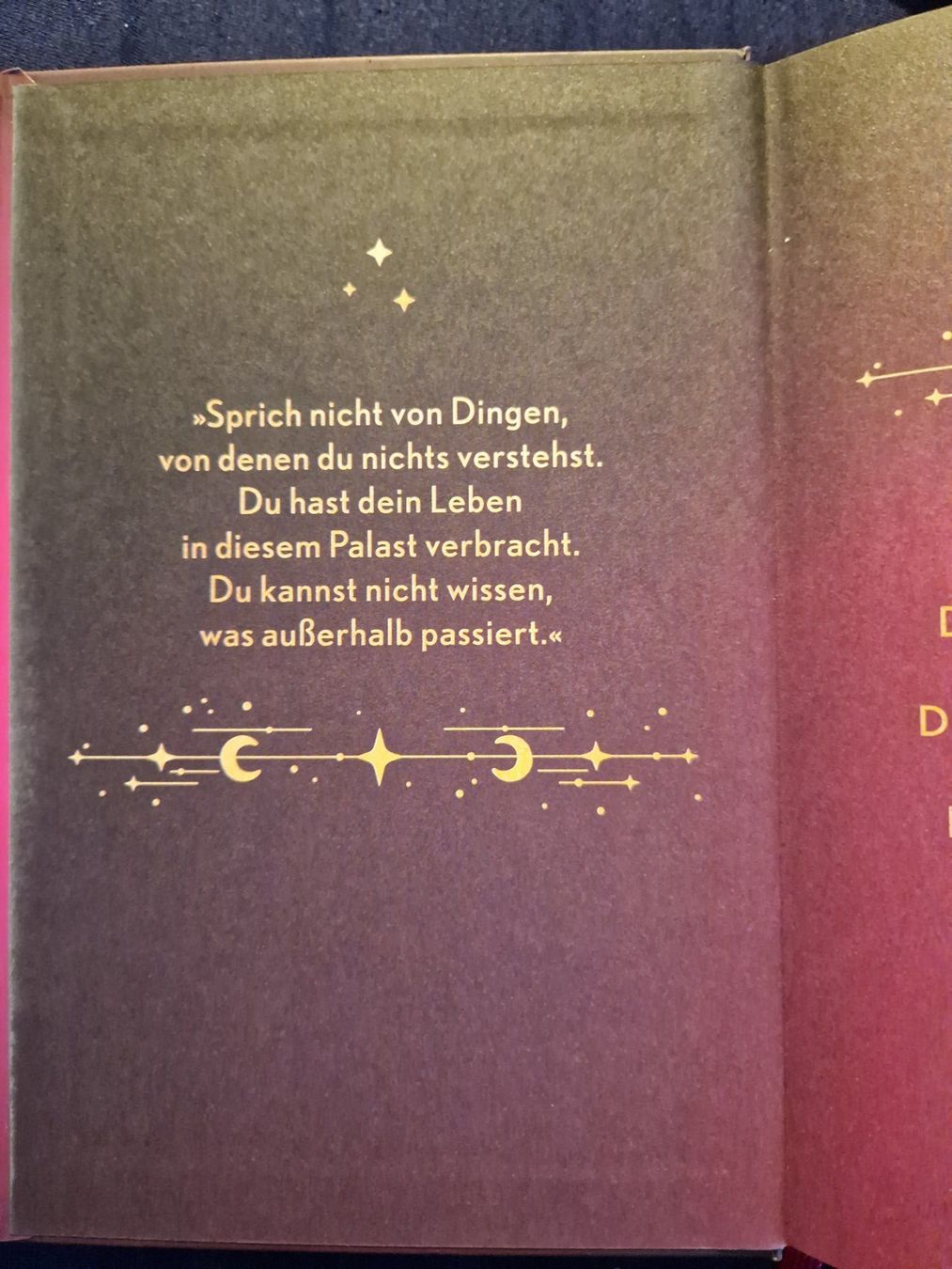 Libri: Holly Renee The Veiled Kingdom - Mit farbigem Buchschnitt – Nuovo (secondo la descrizione) da Neuhausen am Rheinfall venduto da Alchimista 4