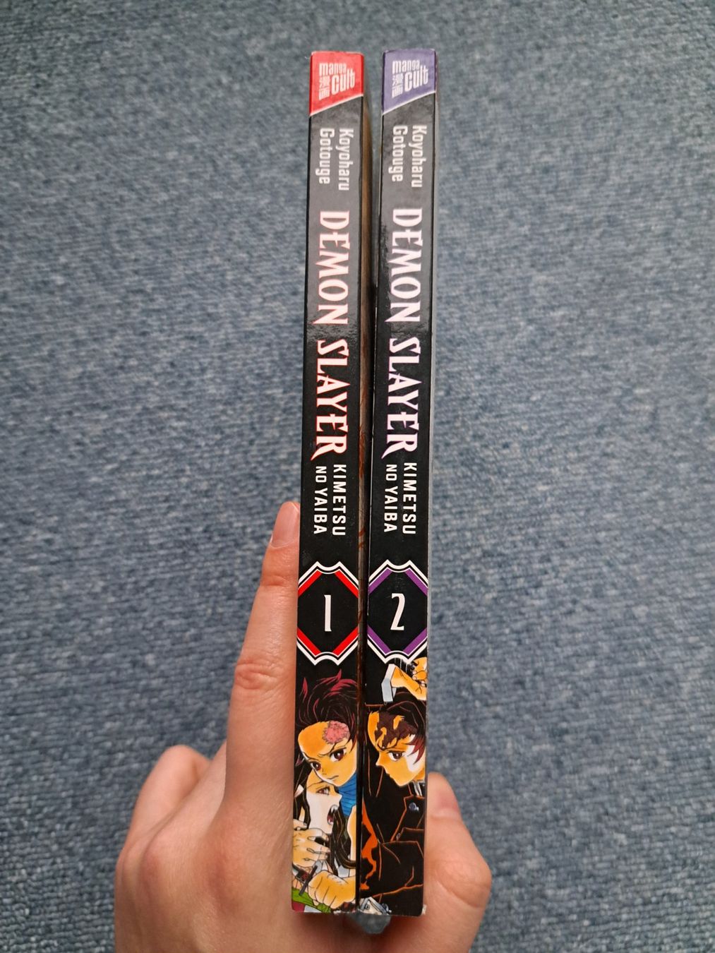 Fumetti: Demon Slayer 1,2 Manga – Usato da Killwangen venduto da KIANA08 2