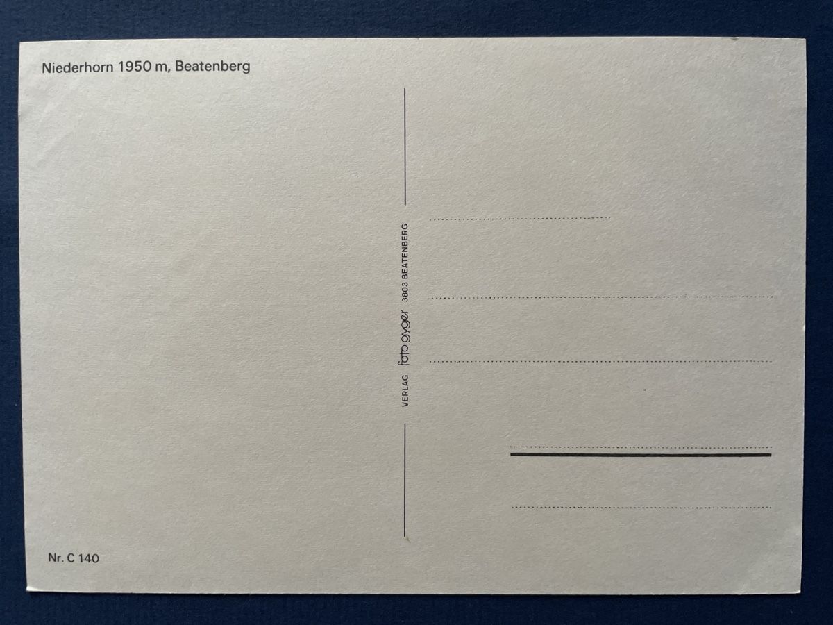 Cartoline postali: Alte Ansichtskarte Niederhorn Beatenberg, Top – Usato da Neuhausen am Rheinfall venduto da Arielle55 1