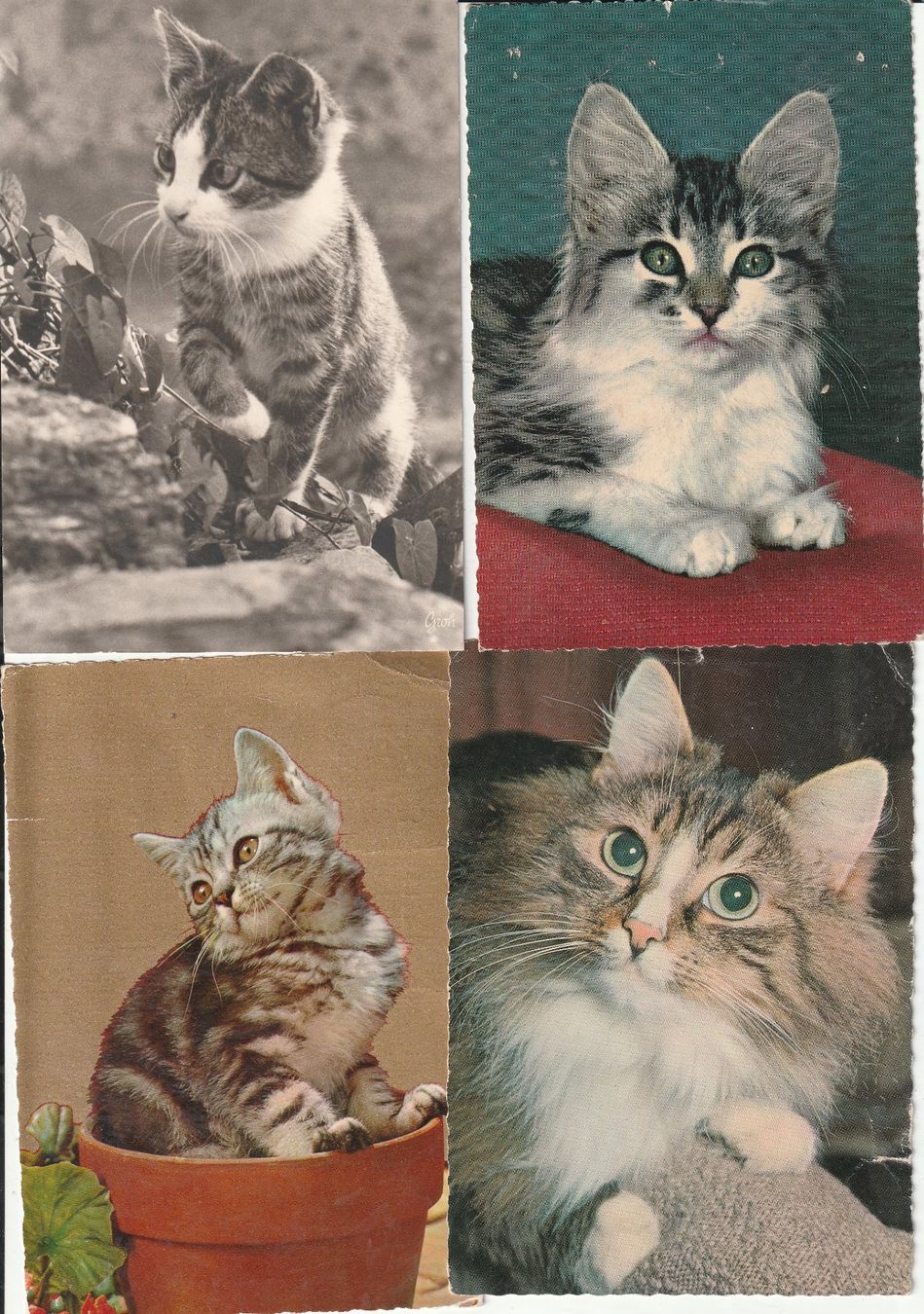 Cartoline postali: 40 Diverse Karten – Usato da Lumbrein venduto da made02 4