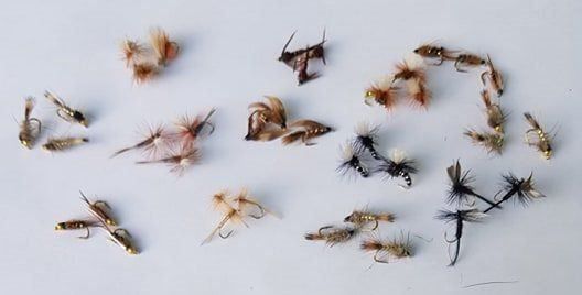 Esche: 39 Stück verschidene Fliege Nymphen – Nuovo e nell'imballaggio originale da Kehrsatz venduto da CIVOMILES 1