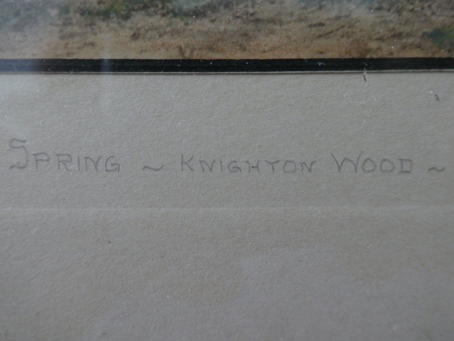 Foto & Immagini: Bild E. Marshall: "Spring Knighton Wood" – Nuovo (secondo la descrizione) da Ehrendingen venduto da JuliaMarley 4