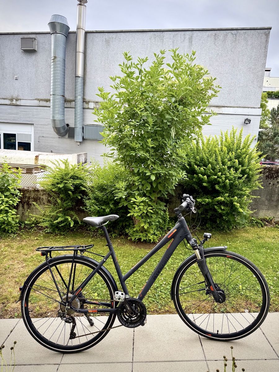 Biciclette: Trekkingvelo L  – Usato da Bern venduto da ser_7vtn 1
