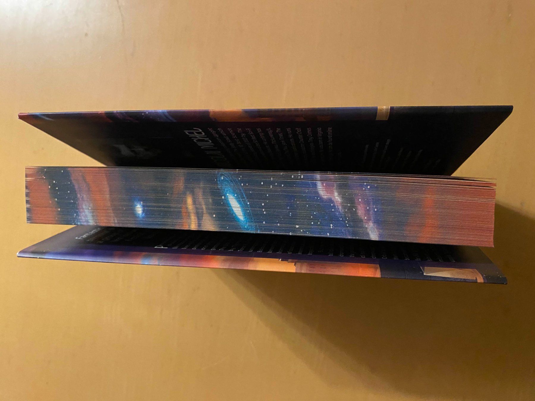 Libri: Metallic Realms - Owlcrate exclusive – Usato da Winznau venduto da sadamu 2