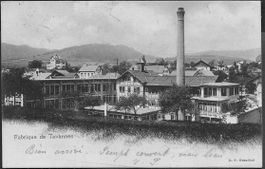 1903 AK TAVANNES Fabrique interessant Archivfrisch ab 1.-
