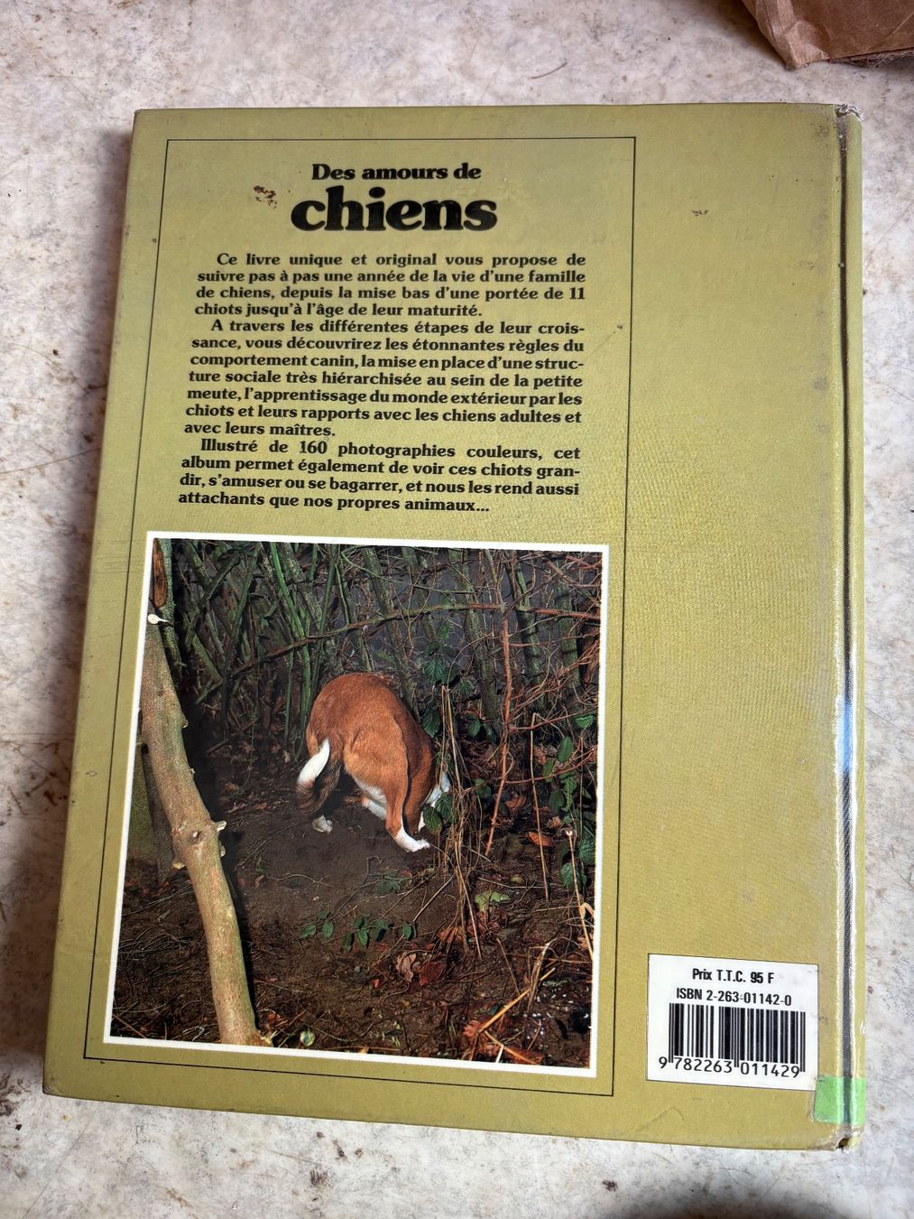 Libri: Livre des amours de chiens – Usato da Grône venduto da natatou 1