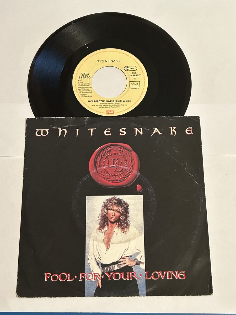 Dischi in vinile: WHITESNAKE. 1989. Fool • For • Your • Loving – Usato da Faulensee venduto da Mizuno06