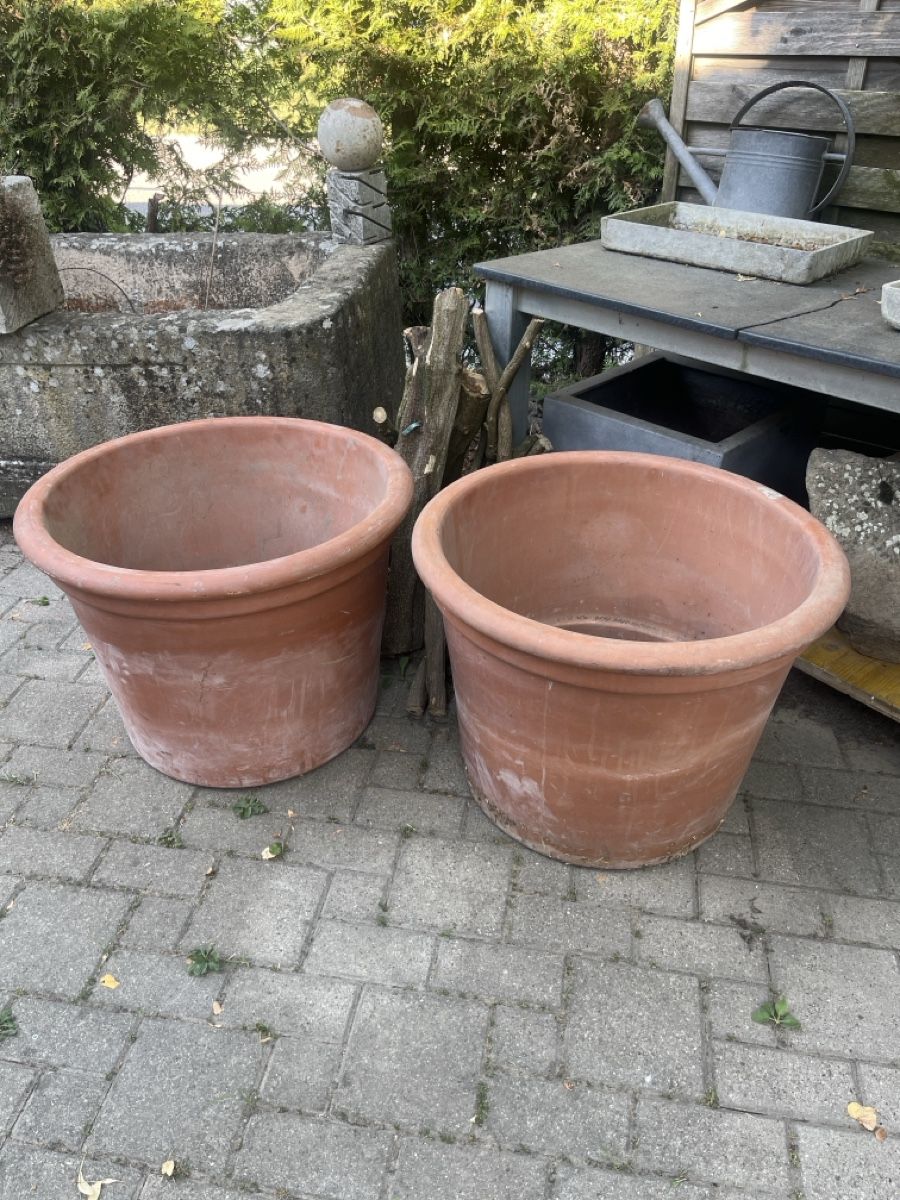 Pots de fleurs: Terrakotta Pflanztopf gross    – Neuf (Voir description) à Stadel(Winterthur) par prutschi 5