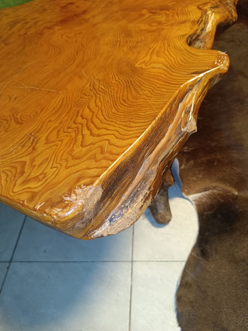 Tische: grosser Wurzeltisch  – Gebraucht aus Biberist von Belzebu 4