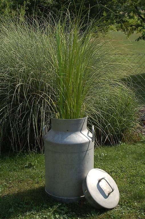 Tutte le decorazioni: Milchkanne Deko Garten Eingang Terrasse, etc. – Usato da Schupfart venduto da Bluelightning 1
