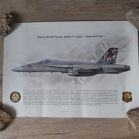 Staffelprint Fliegerstaffel 11 Schweizer Luftwaffe