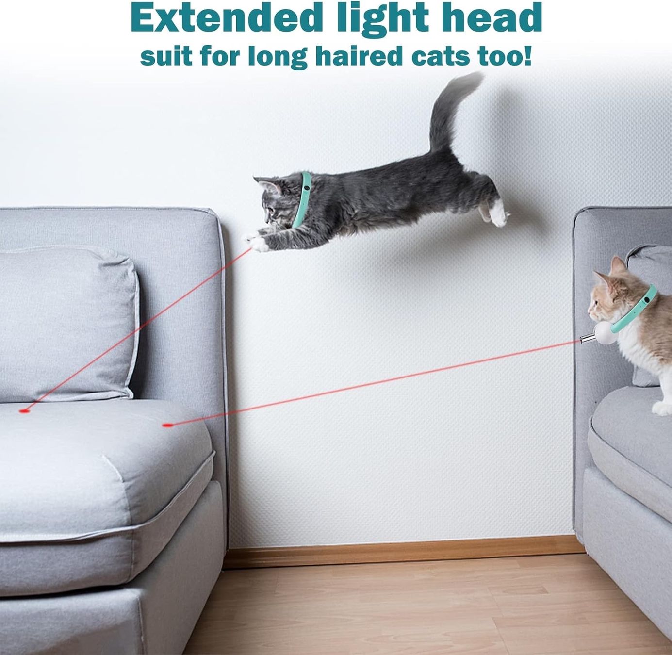 Giocattoli: Very Funny Laser Pointer Toy Collar for Cats & Kitten – Nuovo e nell'imballaggio originale da Lausanne venduto da oenix 2