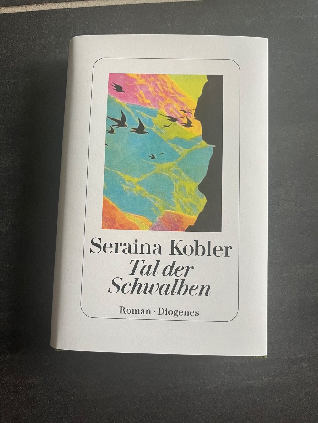 Libri: Buch Tal der Schwalben von Seraina Kobler – Usato da Aarau venduto da Swifty03