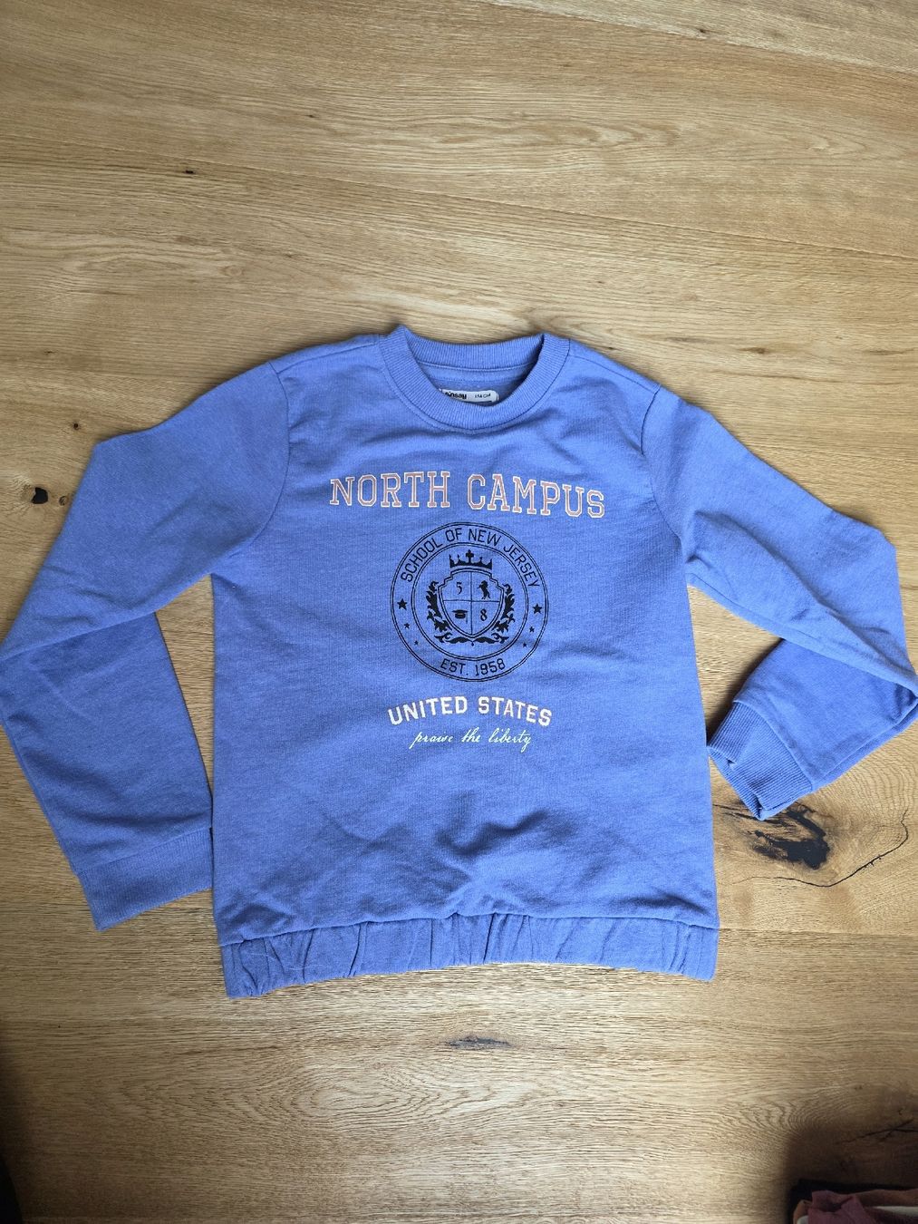 Pulls et sweat-shirts: Sinsay Pullover blau mit Print Grösse 134  – D'occasion à Toffen par ver_x68f