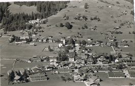 Lenk i. S.
