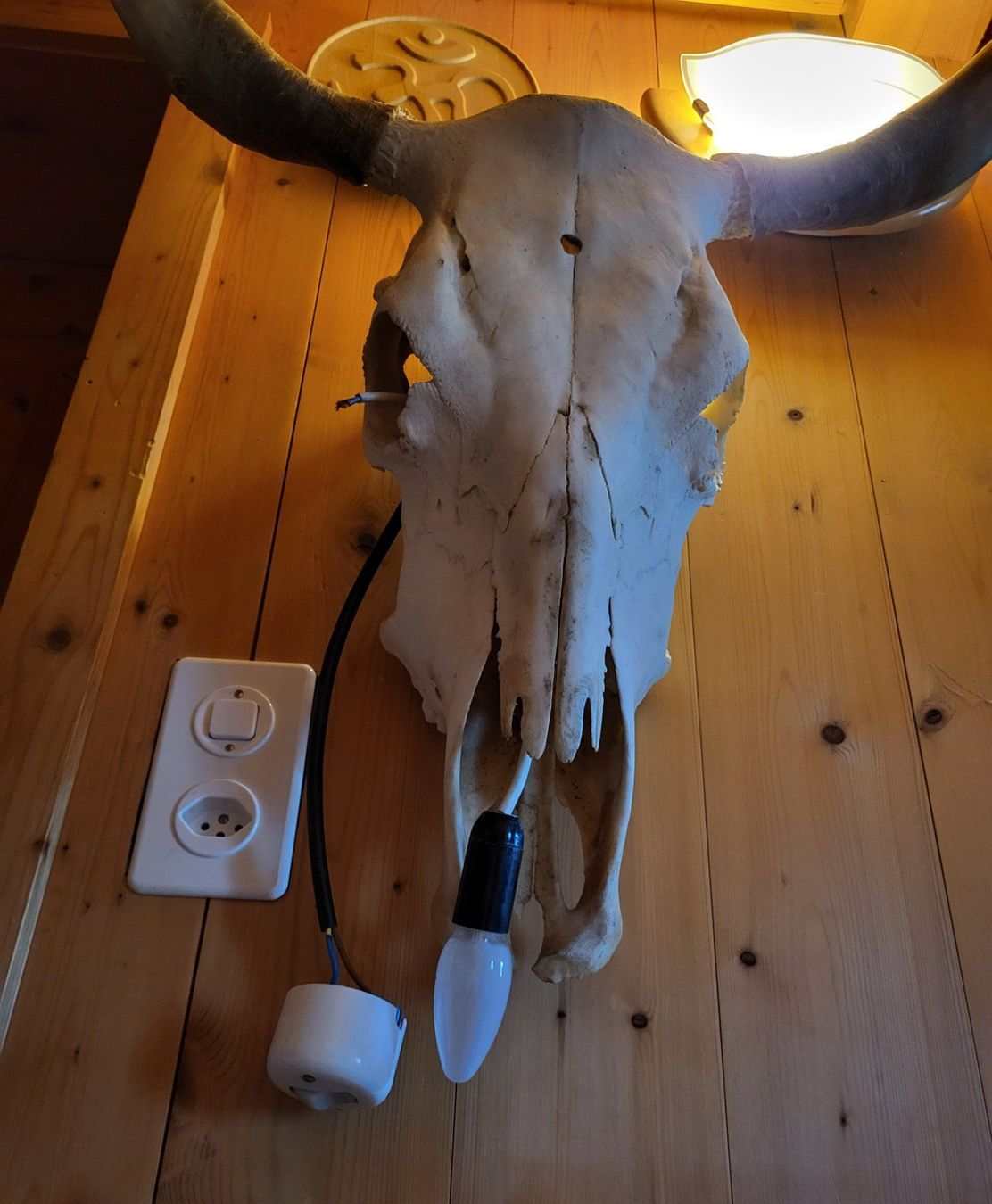Lampade: Lampe Alte Kuhschädel – Usato da Wald ZH venduto da SwissPawnshop 3