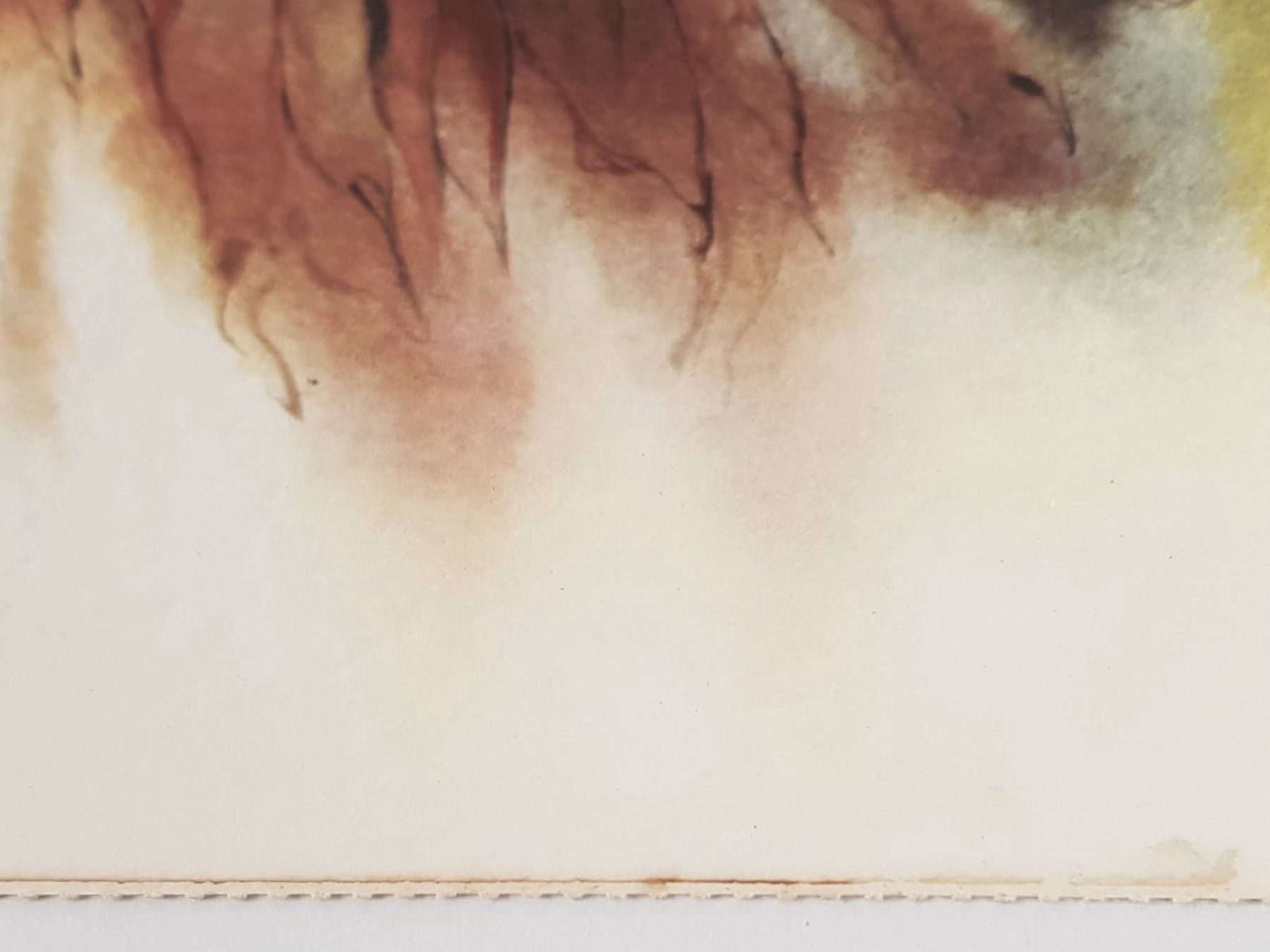Foto & Immagini: Kunstdruck hochwertig "Meyer-Gasters" Sonnenblume – Usato da Suhr venduto da Restwert_Suhr 4