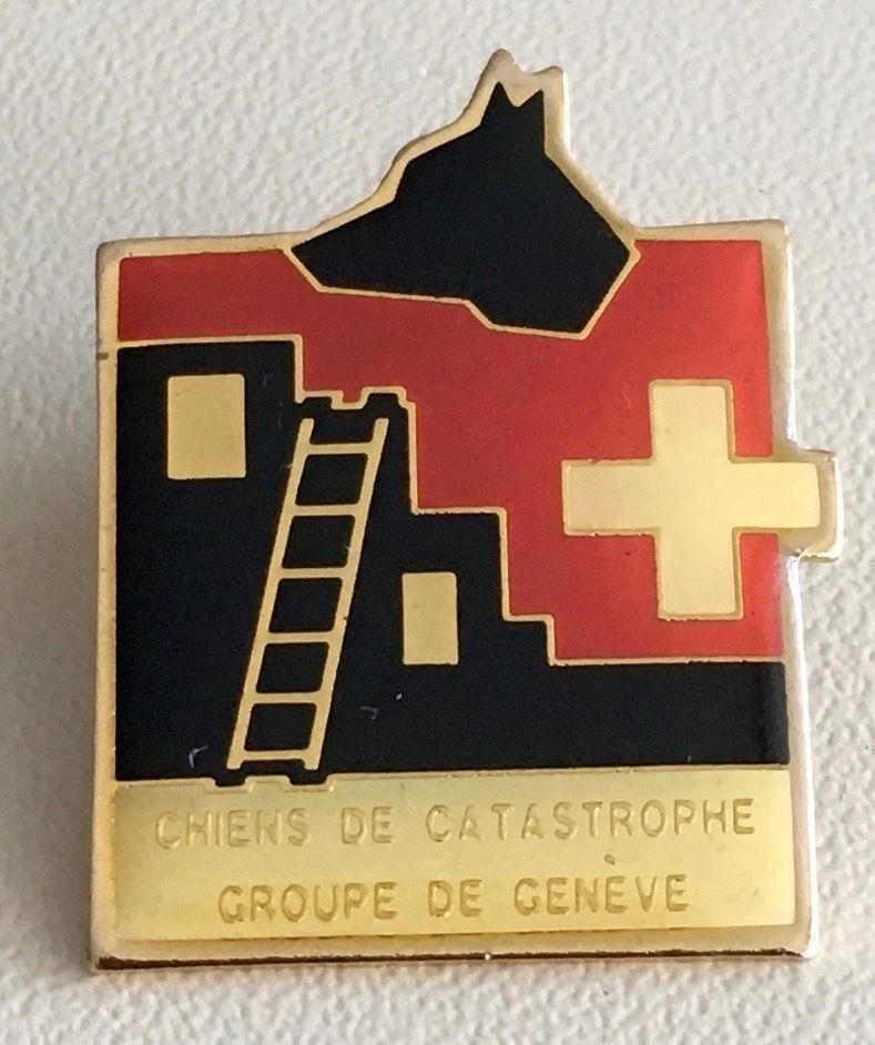Placchette & Badge: Pin's de la REDOG groupe Genève – Nuovo (secondo la descrizione) da Carouge GE venduto da pierre956