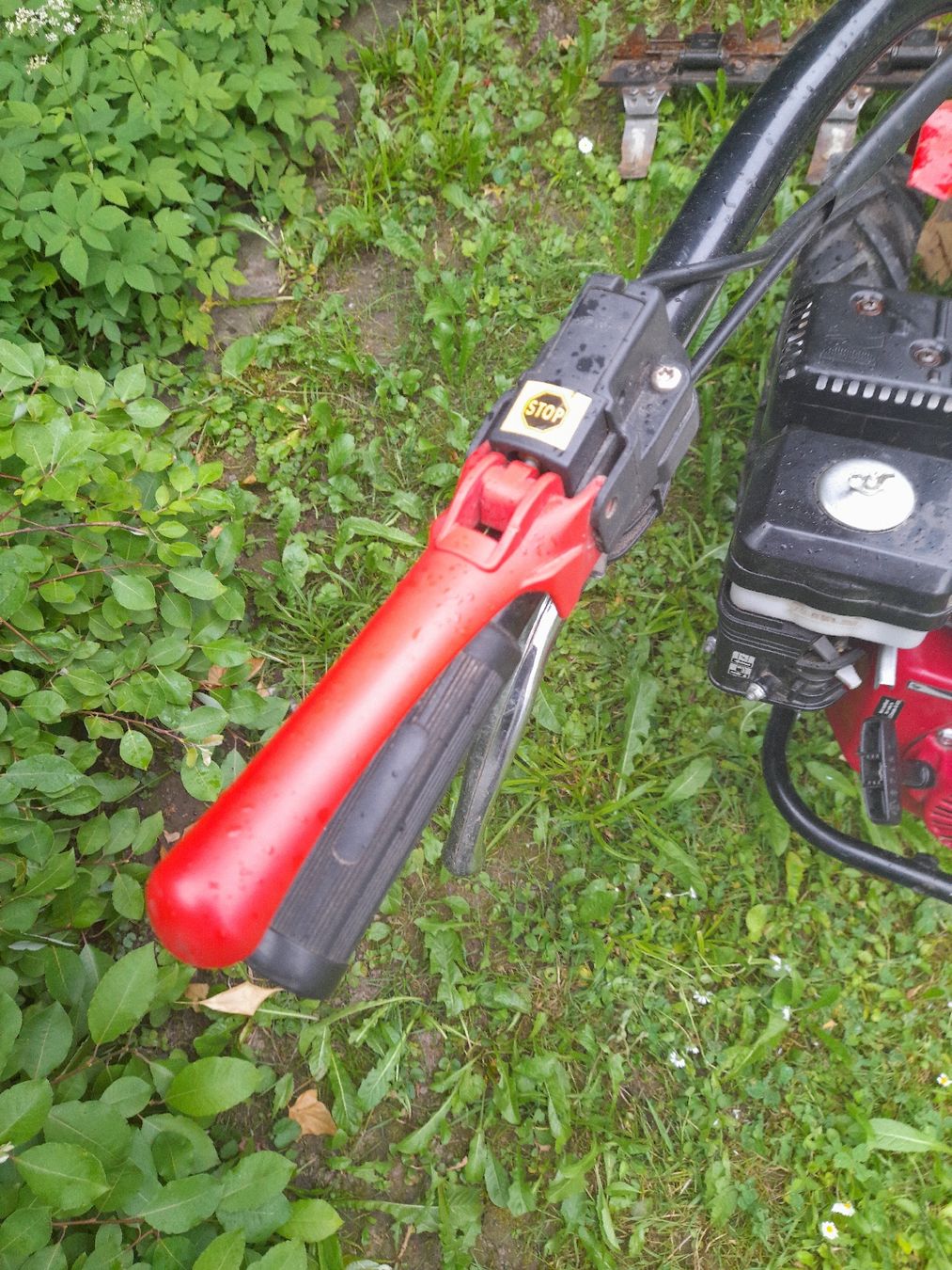 Rasenmäher: Benassi Balkenmäher – Gebraucht aus Oberburg von K_4 9