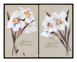 FLEURS - 1912 "Narcisses-Sincères Félicitations" (Lot de 2x)