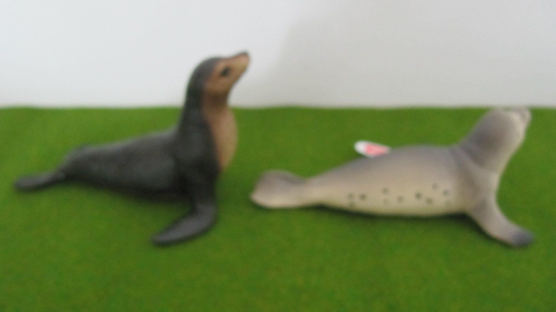 Schleich Figuren: Schleich Robbe und Seelöwe – Neu (gemäss Beschreibung) aus Brunnen von Kiwiland1 2