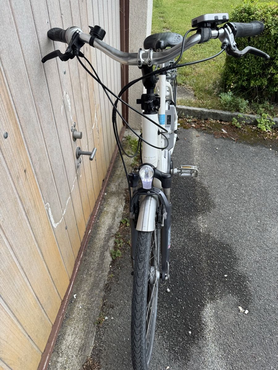 Flyer Velos: Flyer E-Bike – Gebraucht aus Oberentfelden von lam_vj88 2