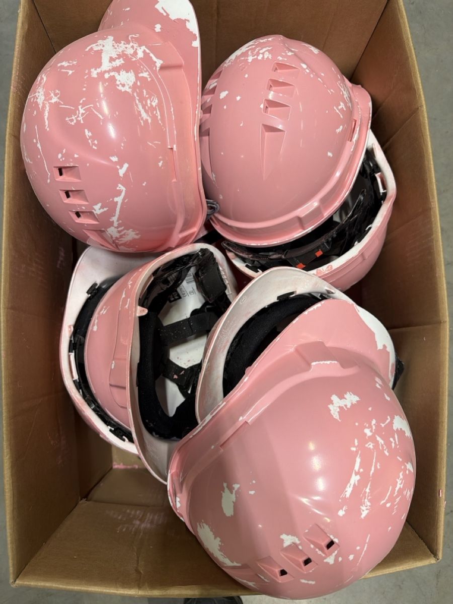 Protezione per viso e udito: Arbeitshelme „pink/weiss/ – Usato da Niederglatt ZH venduto da RWOG