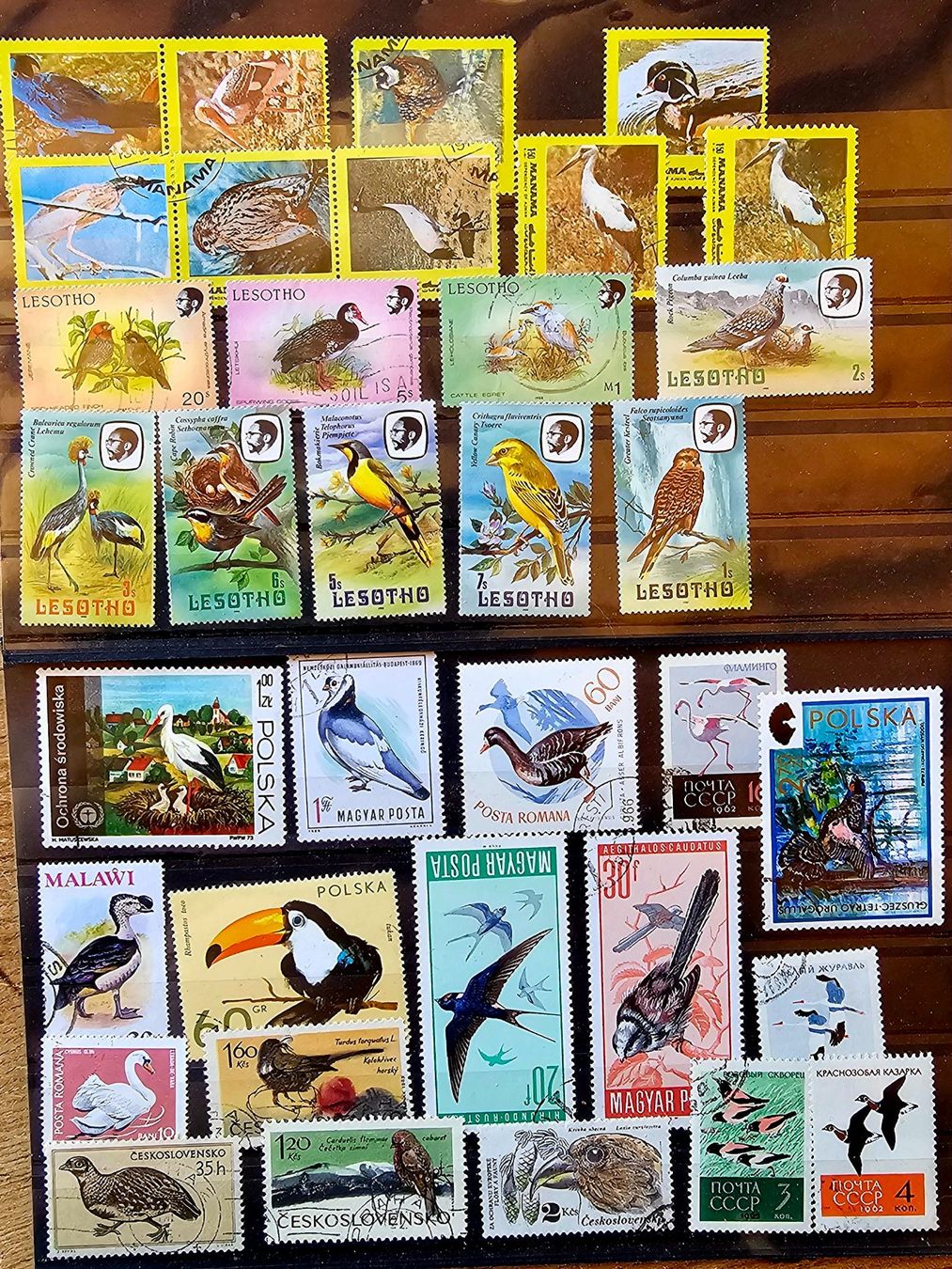 Tutti i francobolli: Motive Vogel / Oiseaux – Nuovo (secondo la descrizione) da Les Valettes venduto da Nuba1