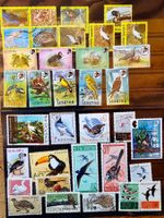 Motive Vogel / Oiseaux