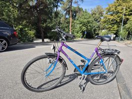 Citybike Allegro Bahnhofsvelo