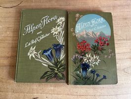 Alpen-Flora Buch von L.&Prof. Schrötter gute Erhaltung