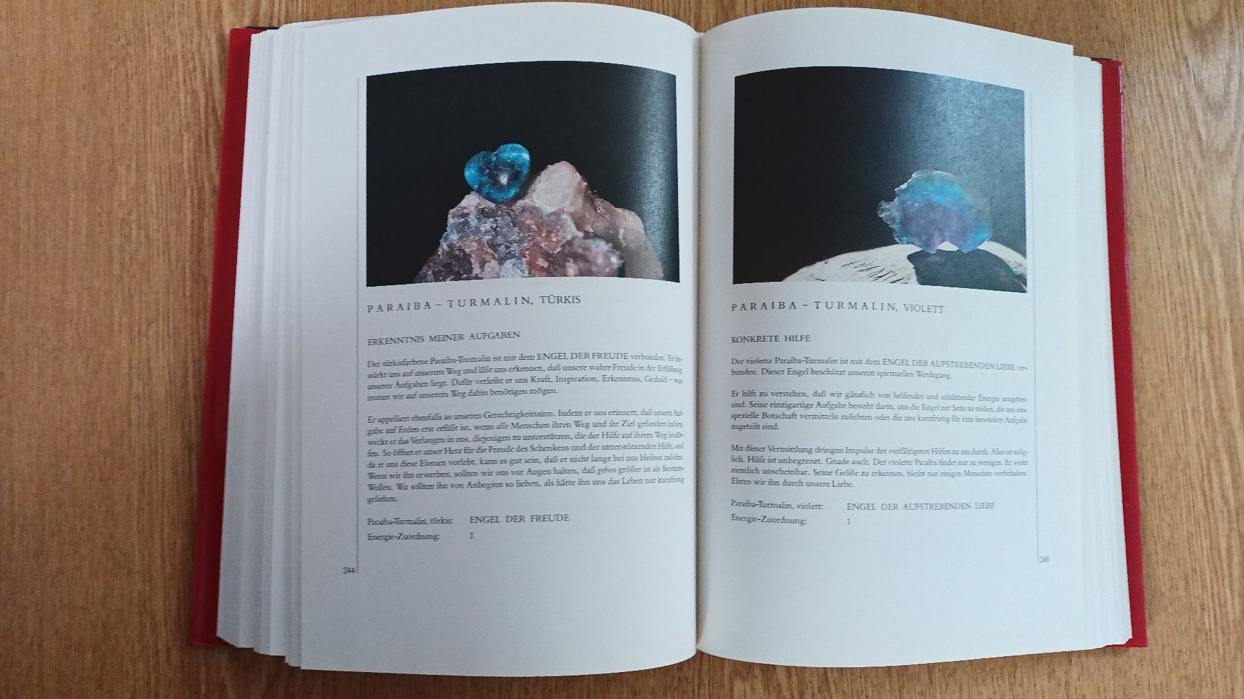 Libri: Buch:  Vom Wesen der Edelsteine – Usato da Rudolfstetten venduto da mirage4000 2