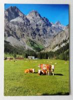 Solalex, au fond les Diablerets