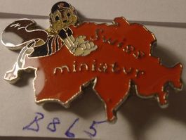 1 Swiss Miniatur Schweiz Umriss Pin (B865)