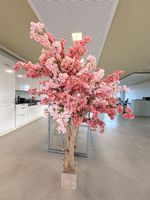Exklusiver Kirschblütenbaum 2m, Echtholz & luxuriöse Blüten